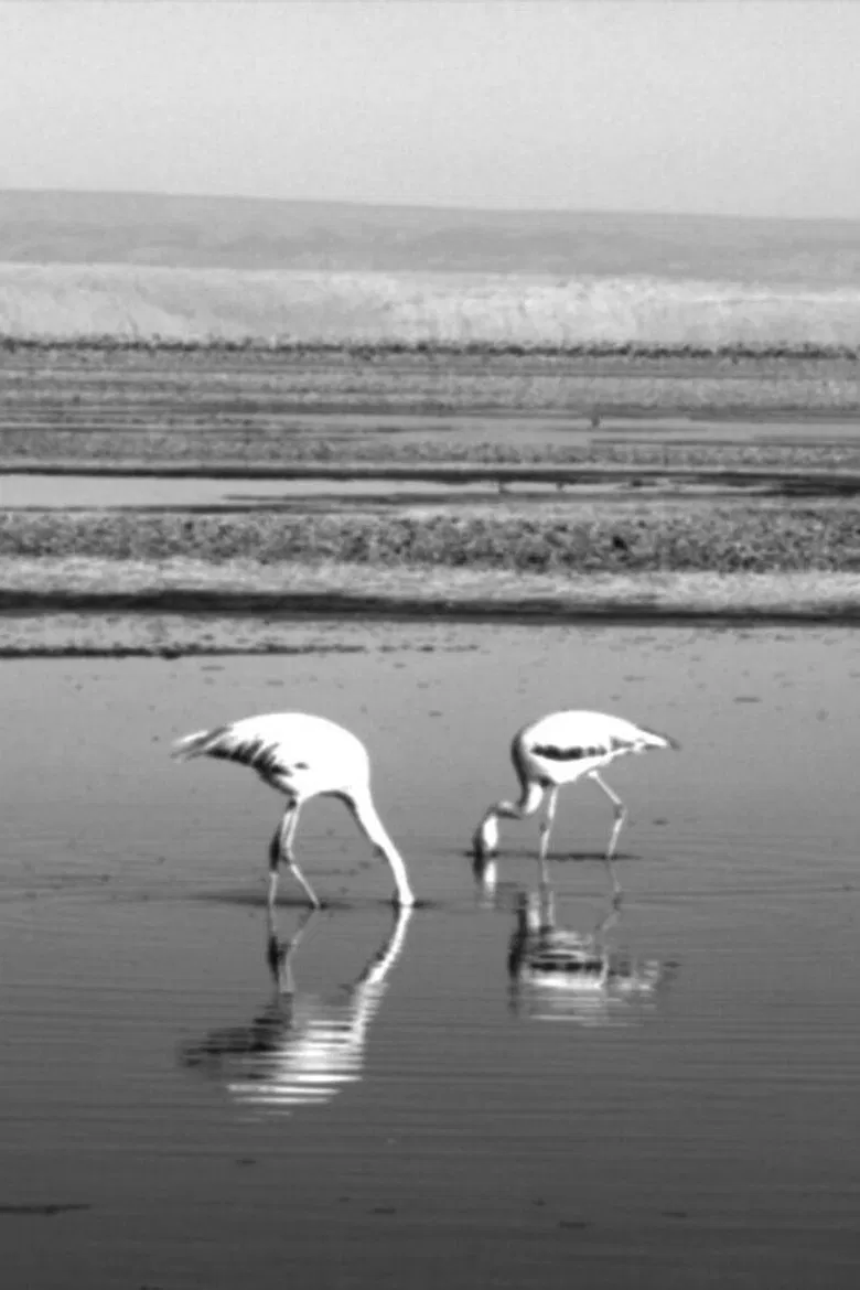 Golpes poster background