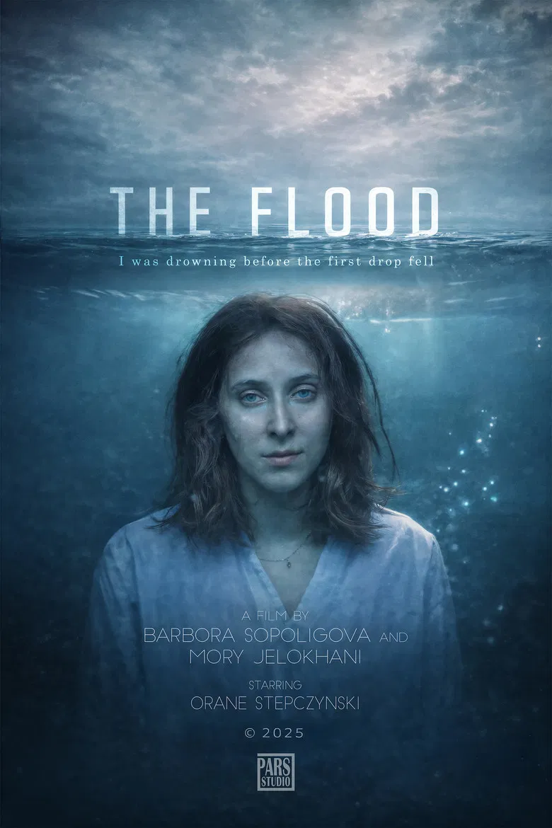 The Flood poster background