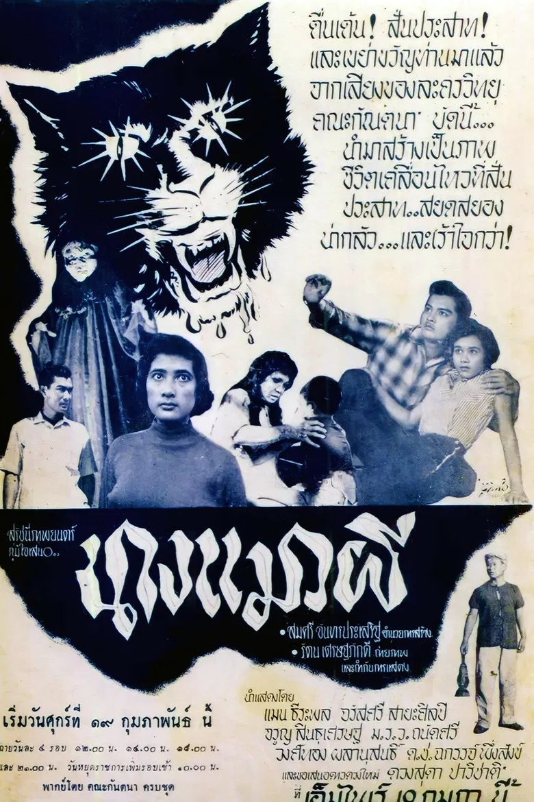 Ghost Cat Lady poster background