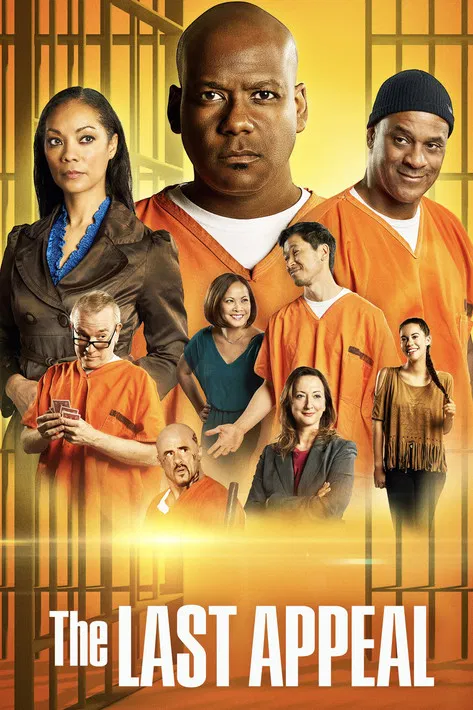 The Last Appeal poster background