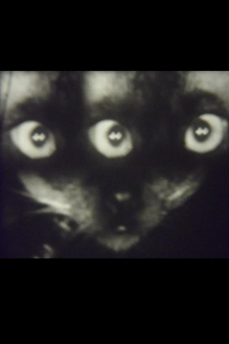 Wee Gee’s Camera Magic poster background