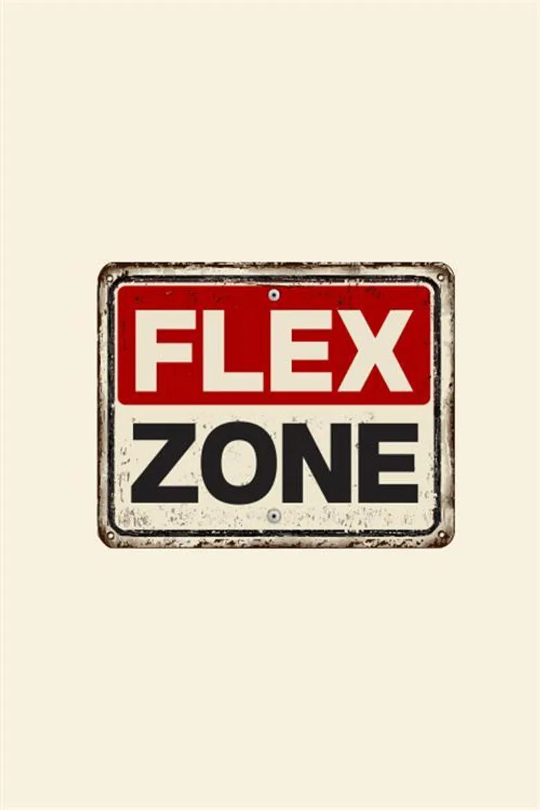 FLEX ZONE poster background