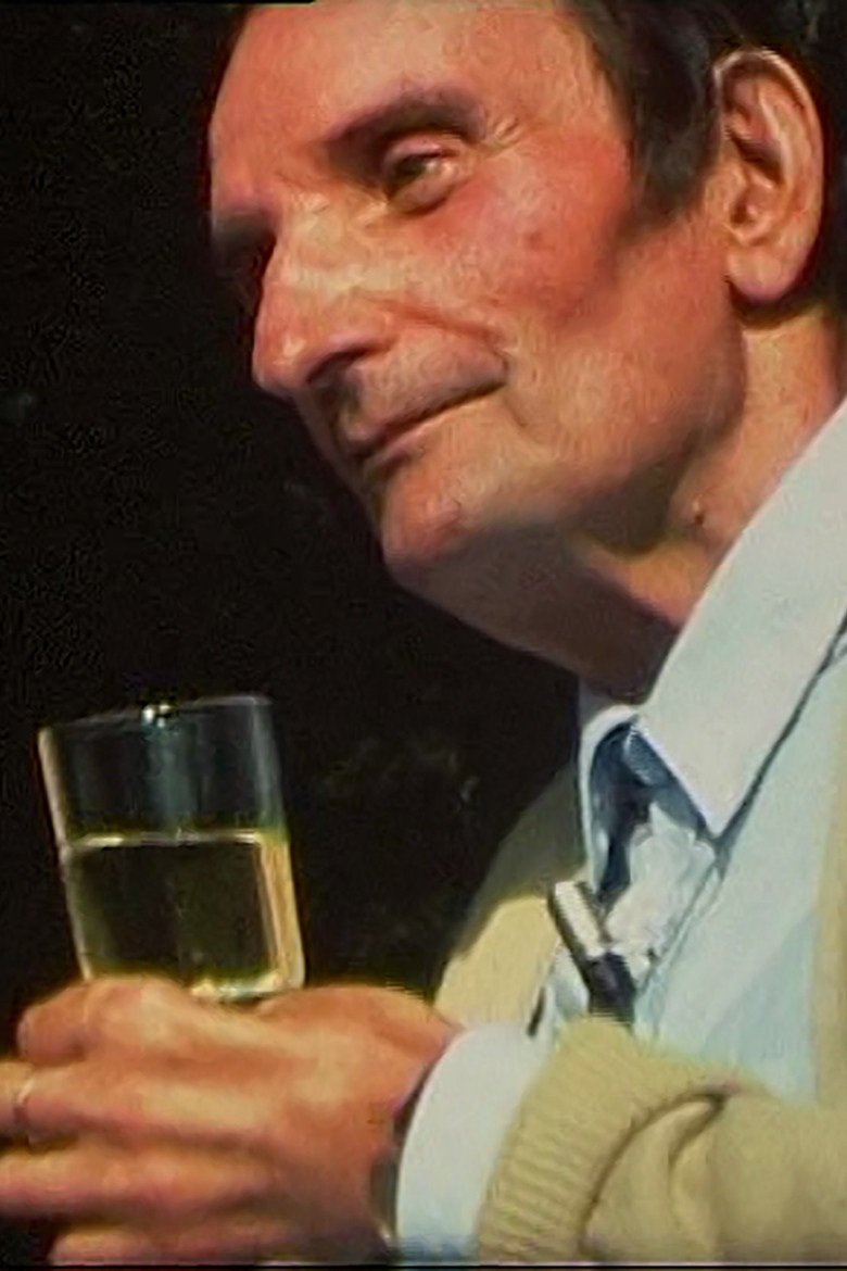 Une journee de vacances poster background