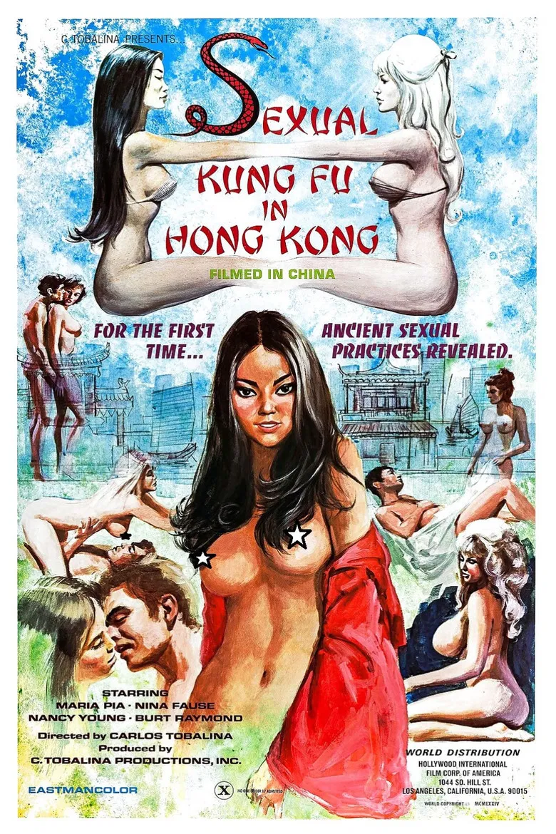Sexual Kung Fu in Hong Kong poster background
