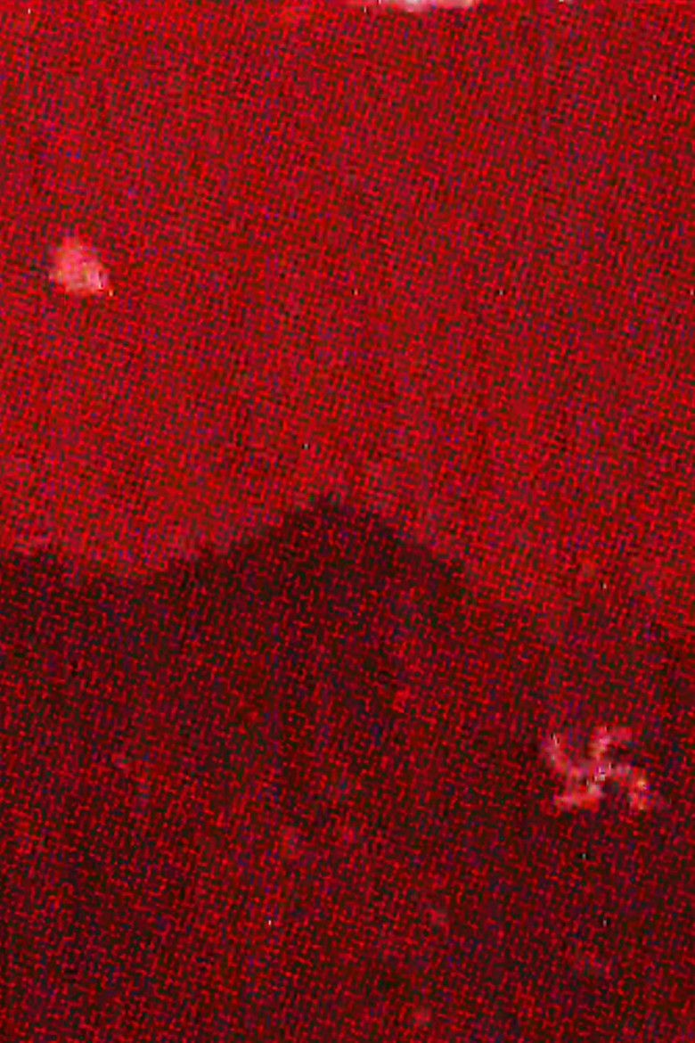 Ekphrasis poster background