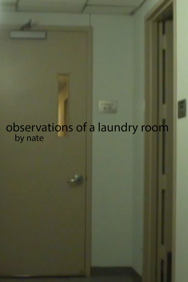 Observations of a laundry room poster background