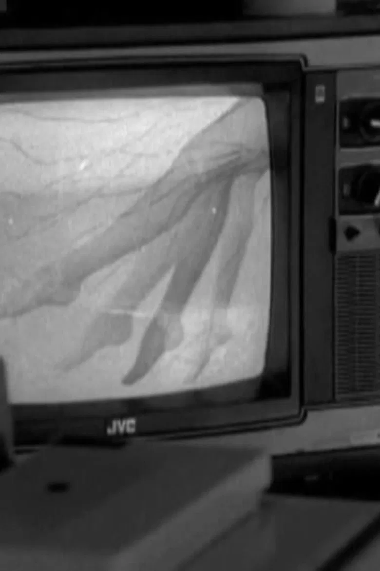 Haiku poster background