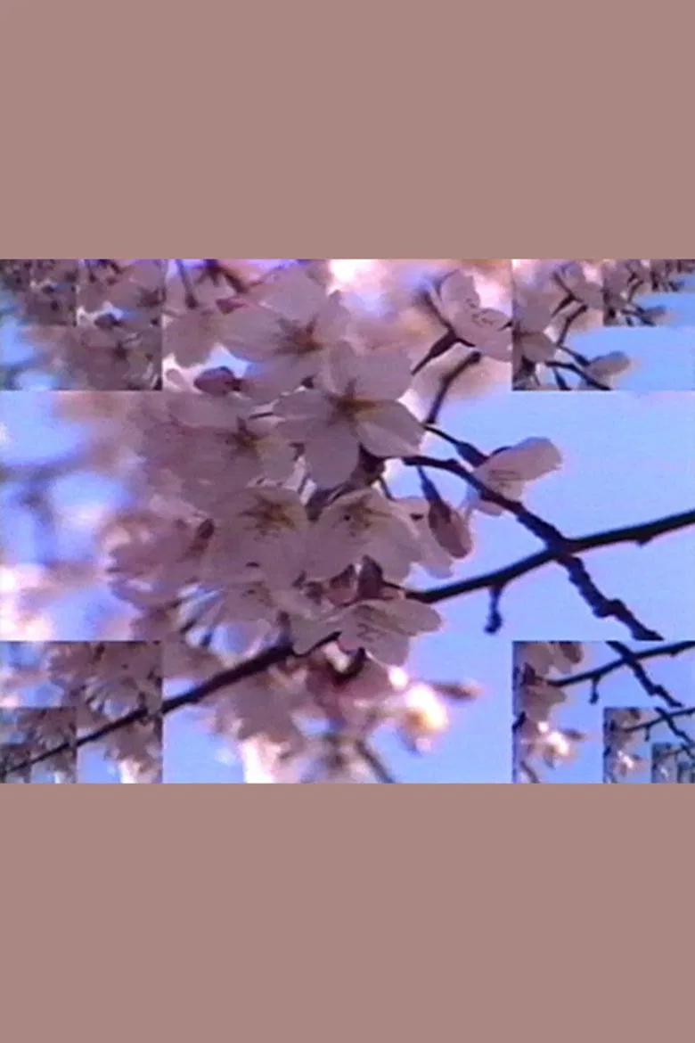 Rock Video: Cherry Blossom poster background