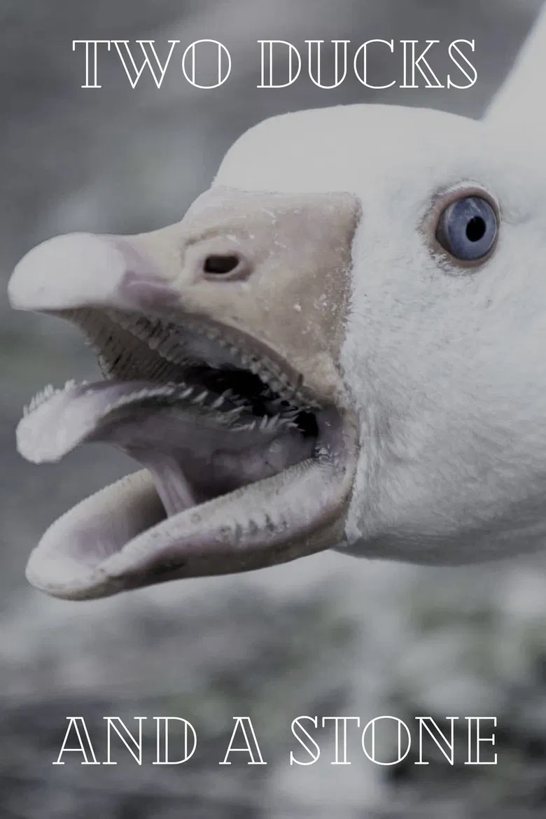 Two Ducks and a Stone poster background