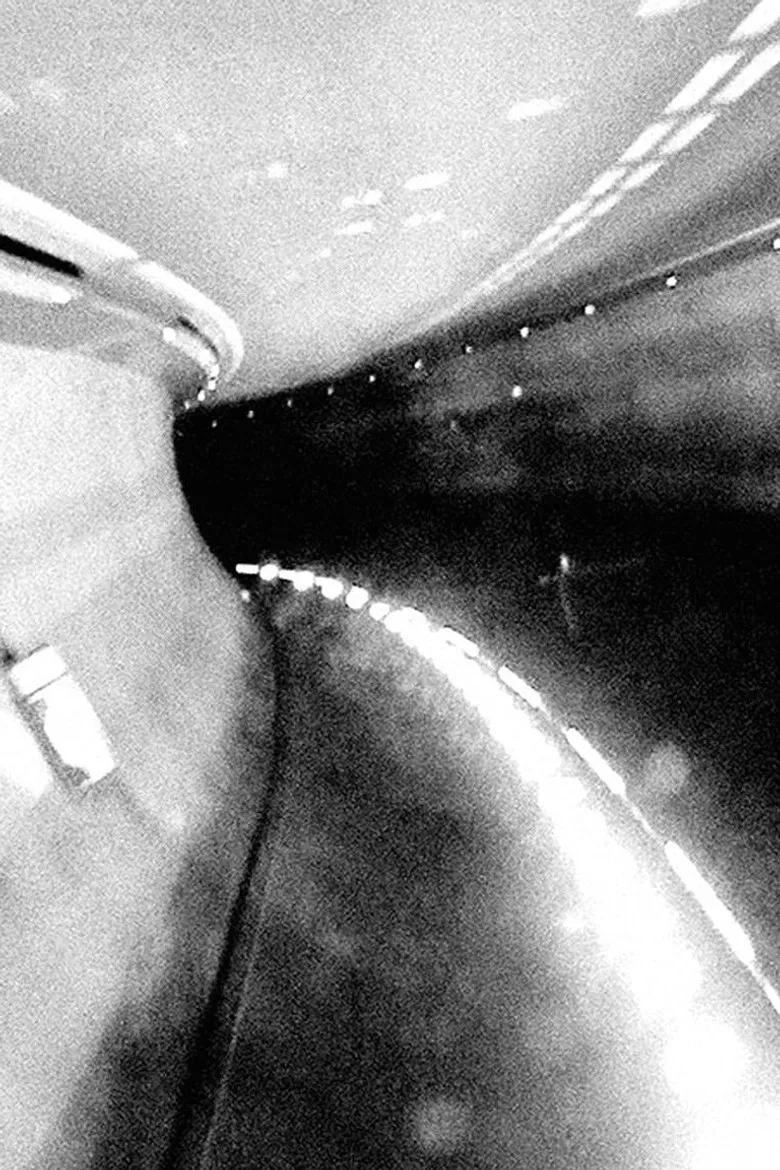 Der Fährmann poster background