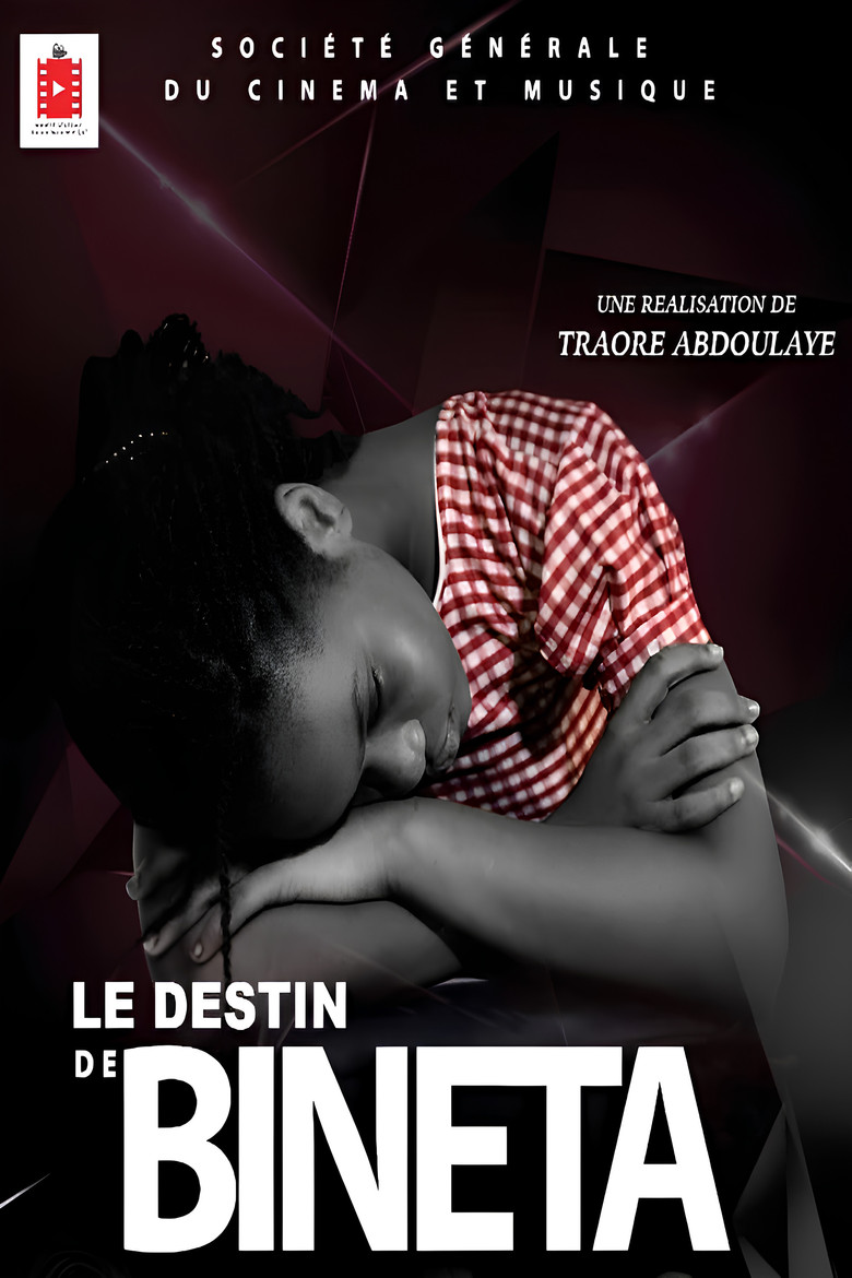 The Fate of Bineta poster background