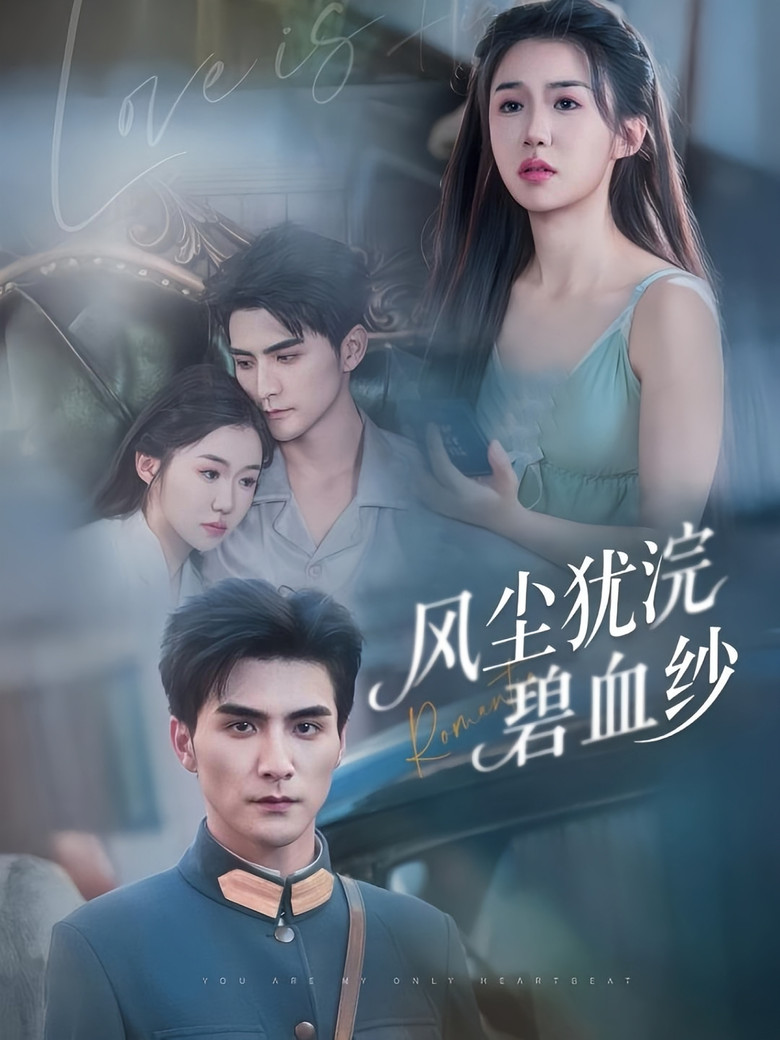 风尘犹浣碧血纱 poster background