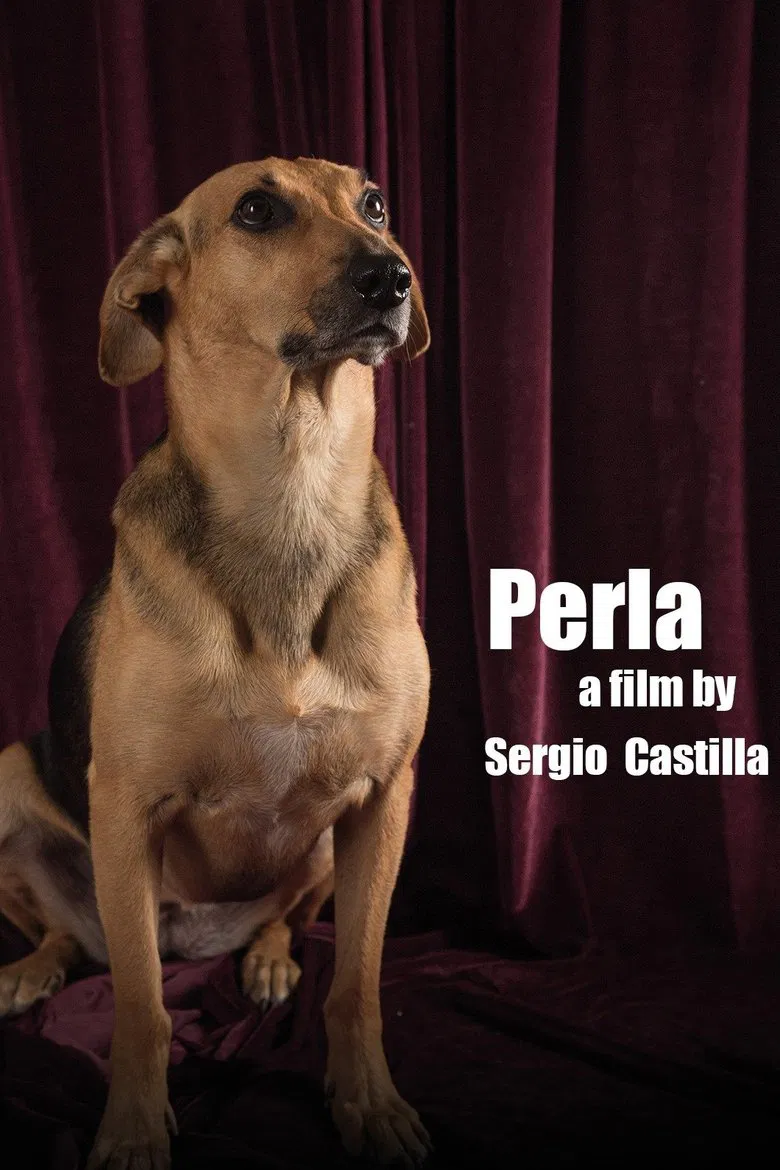 Perla poster background