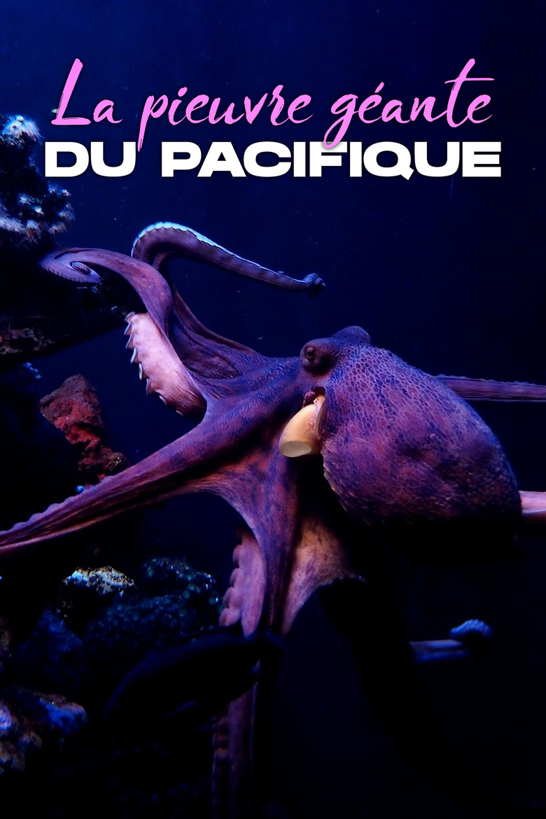 Rendezvous mit Riesenkraken - Die Geschichte von Ellie poster background