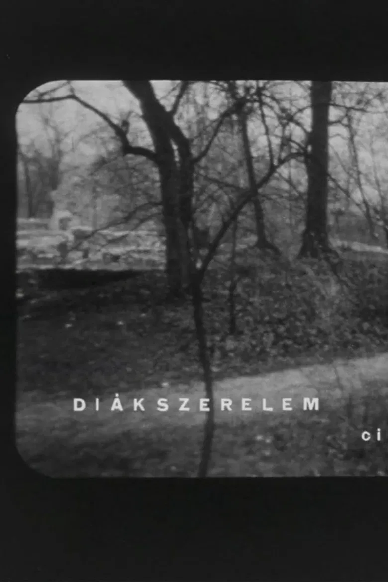 Diákszerelem poster background