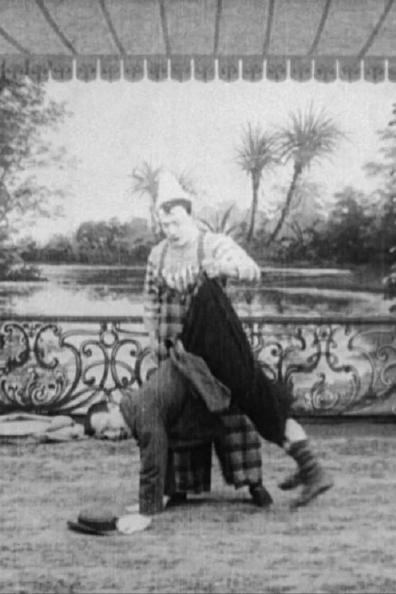 The Magic Bag poster background