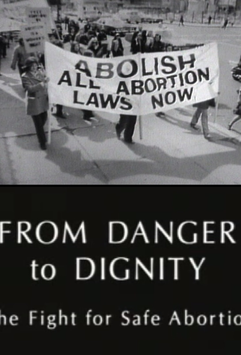 From Danger to Dignity: The Fight For Safe Abortion poster background