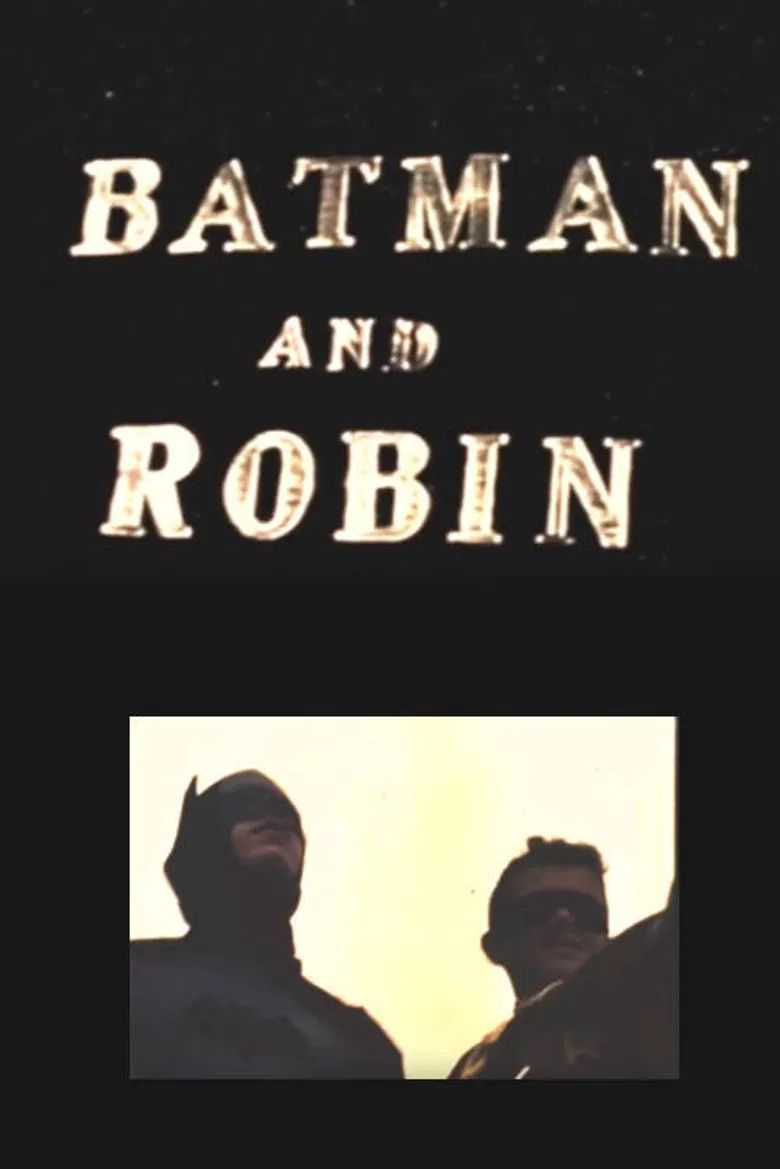 Batman and Robin poster background