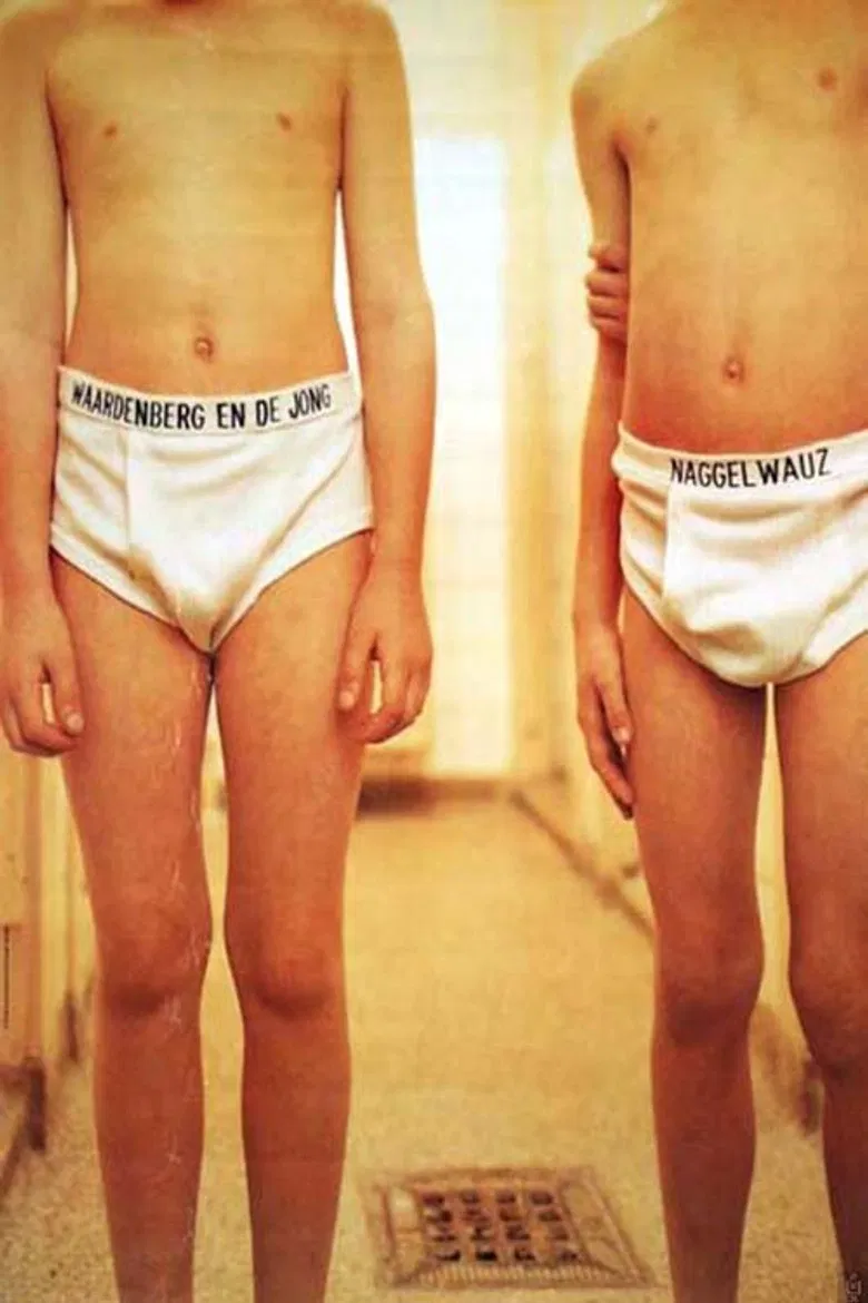 Waardenberg & de Jong: Naggelwauz poster background
