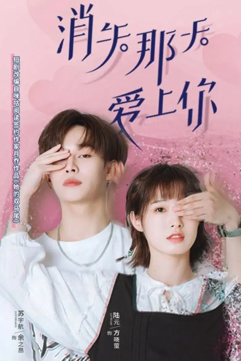 消失那天爱上你 poster background