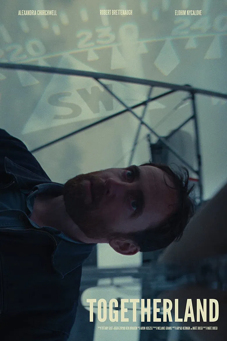 Togetherland poster background