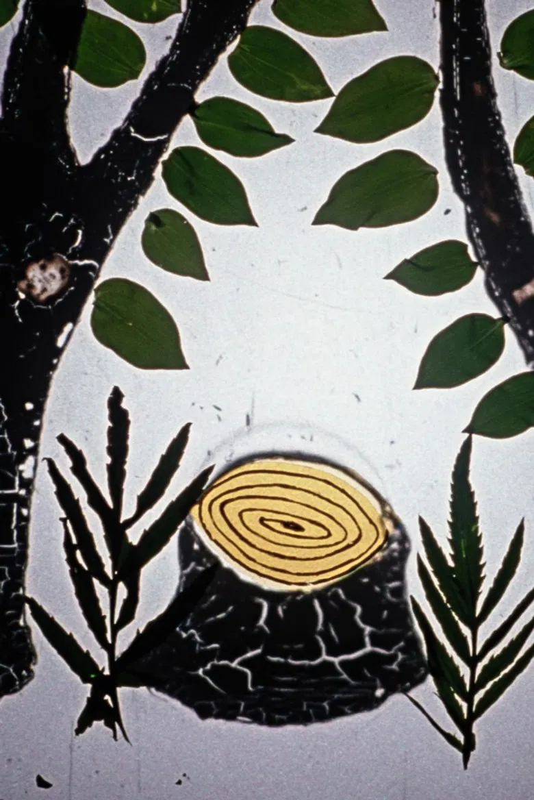 How Did Books Leave the Forest poster background