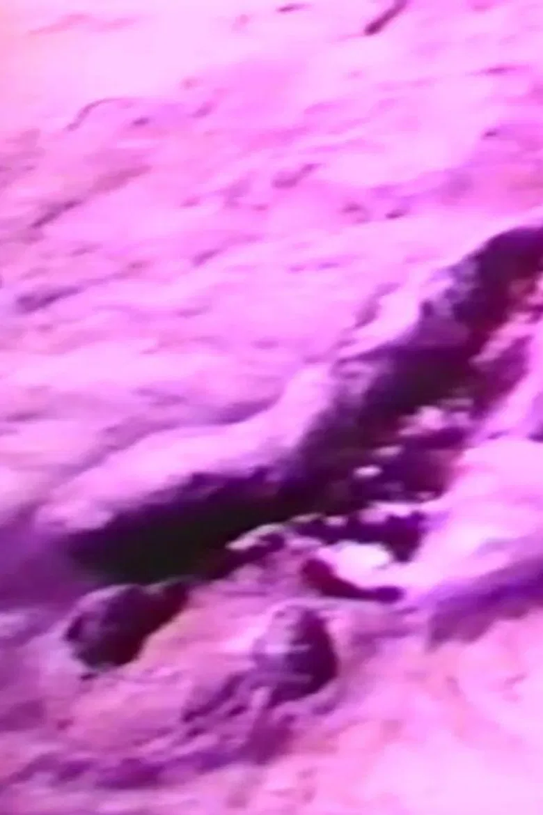 Filmworks, August 1980 (La Ventosa and San Felipe, Mexico) poster background