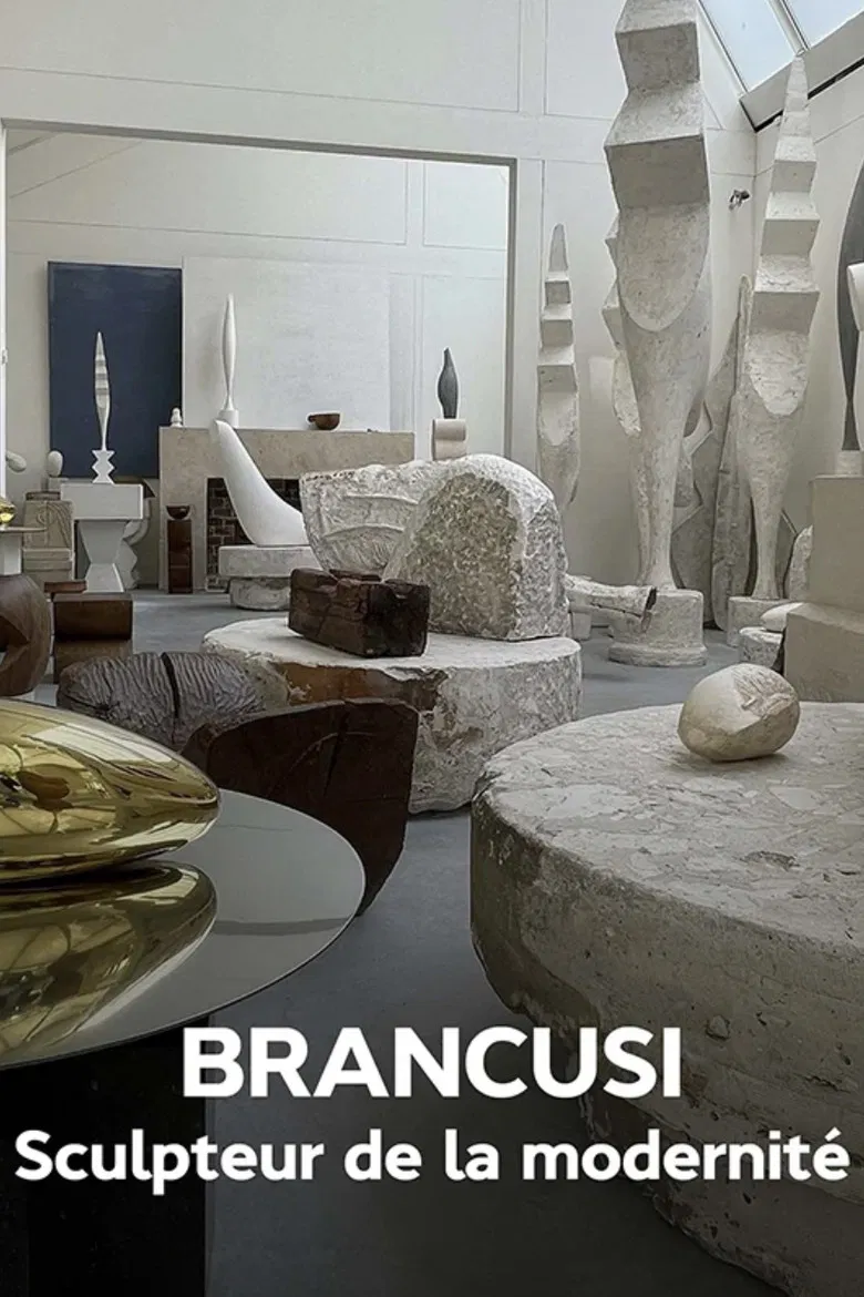 Brancusi : les métamorphoses de la sculpture poster background