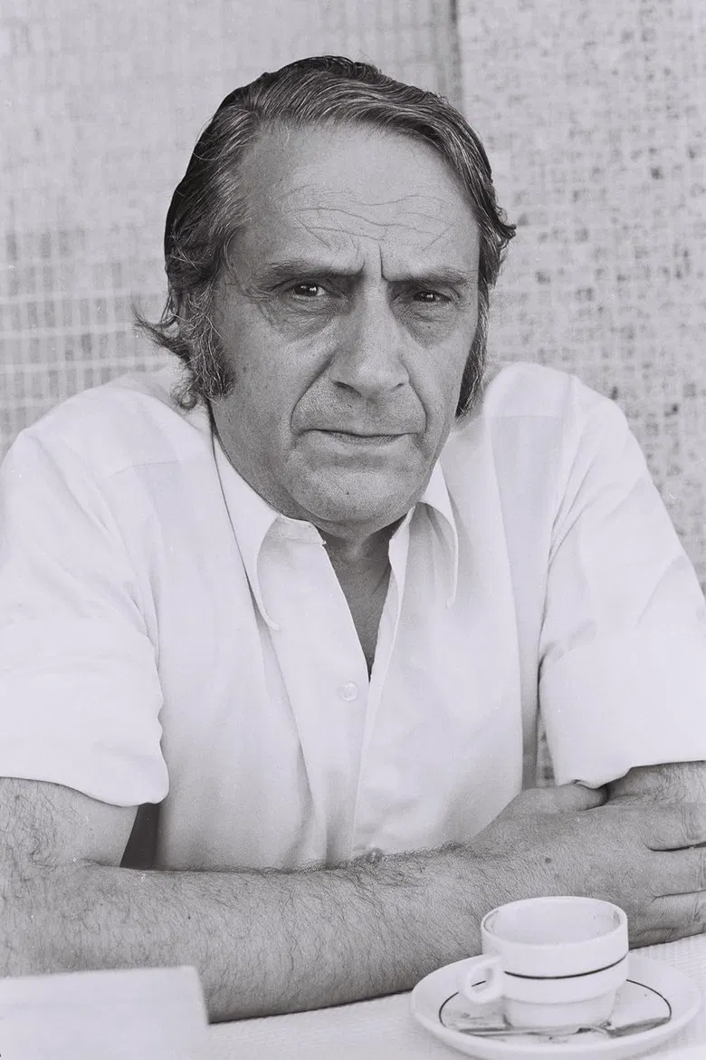 Prefácio a Vergílio Ferreira poster background