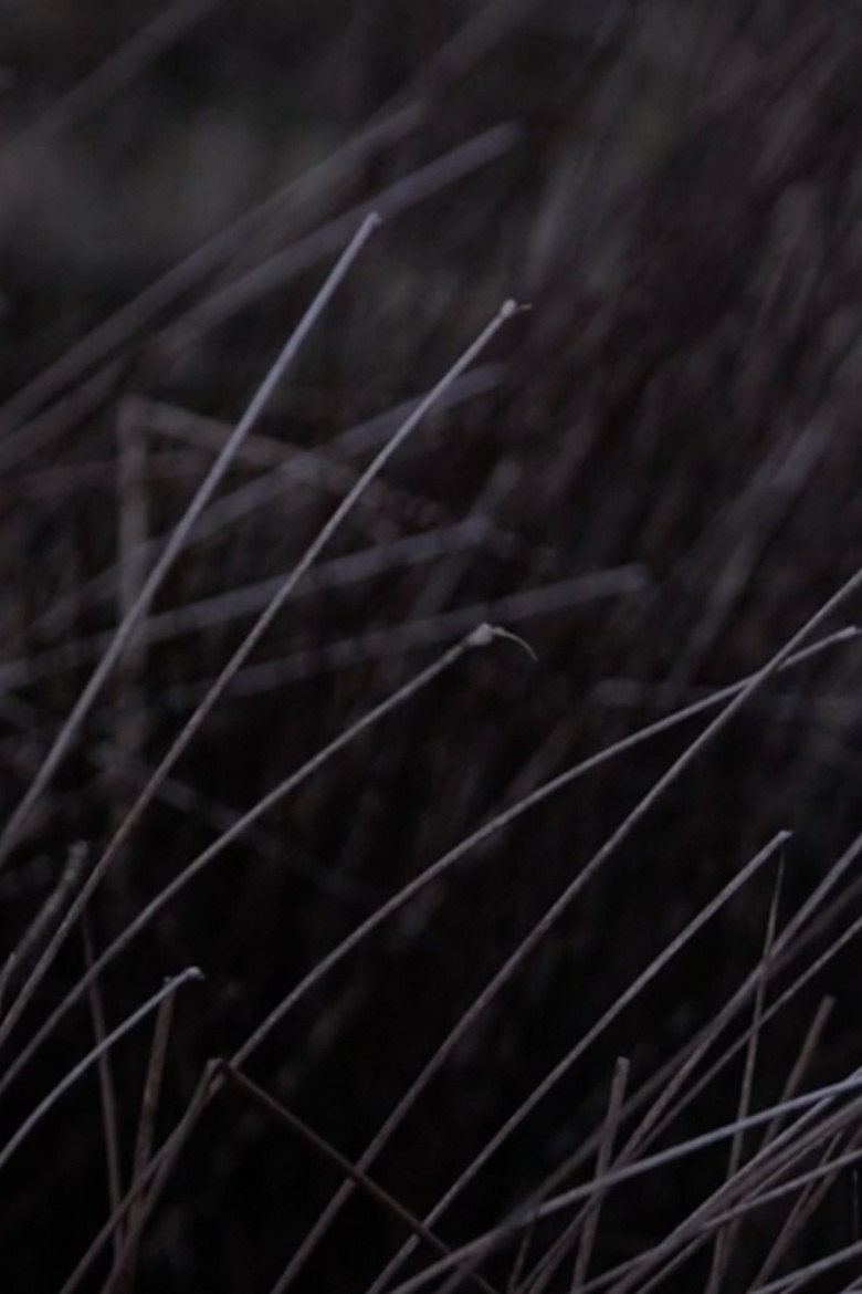 Koan V poster background