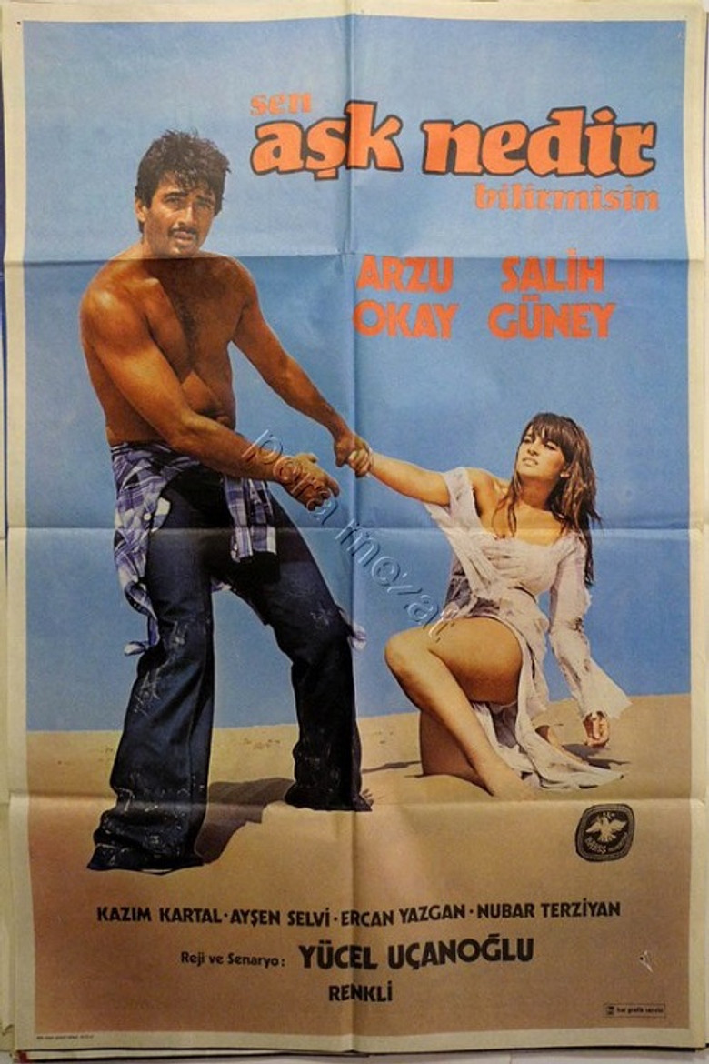 Sen Aşk Nedir Bilir Misin poster background
