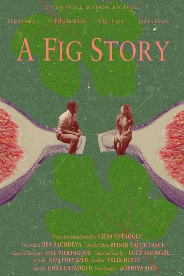 A Fig Story poster background