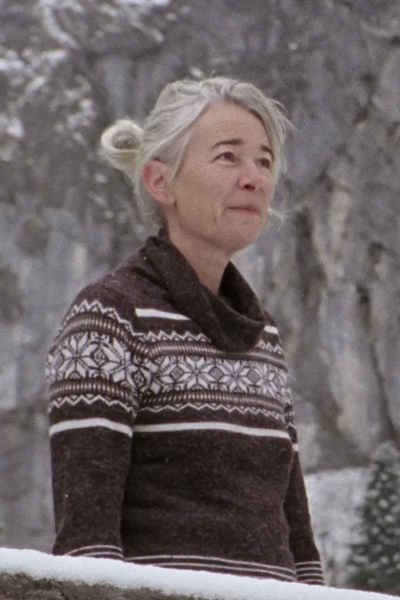 Forest High poster background