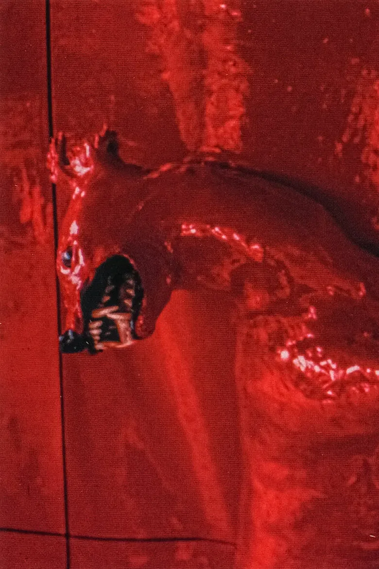 A Red Score in Tile poster background