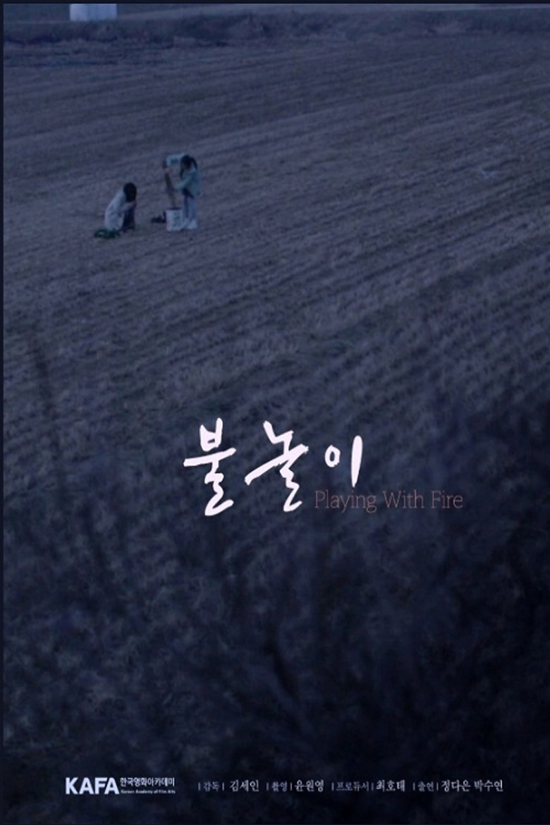 Playing with Fire poster background