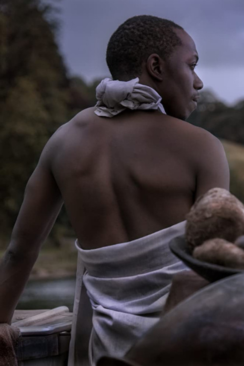 Tropikos poster background