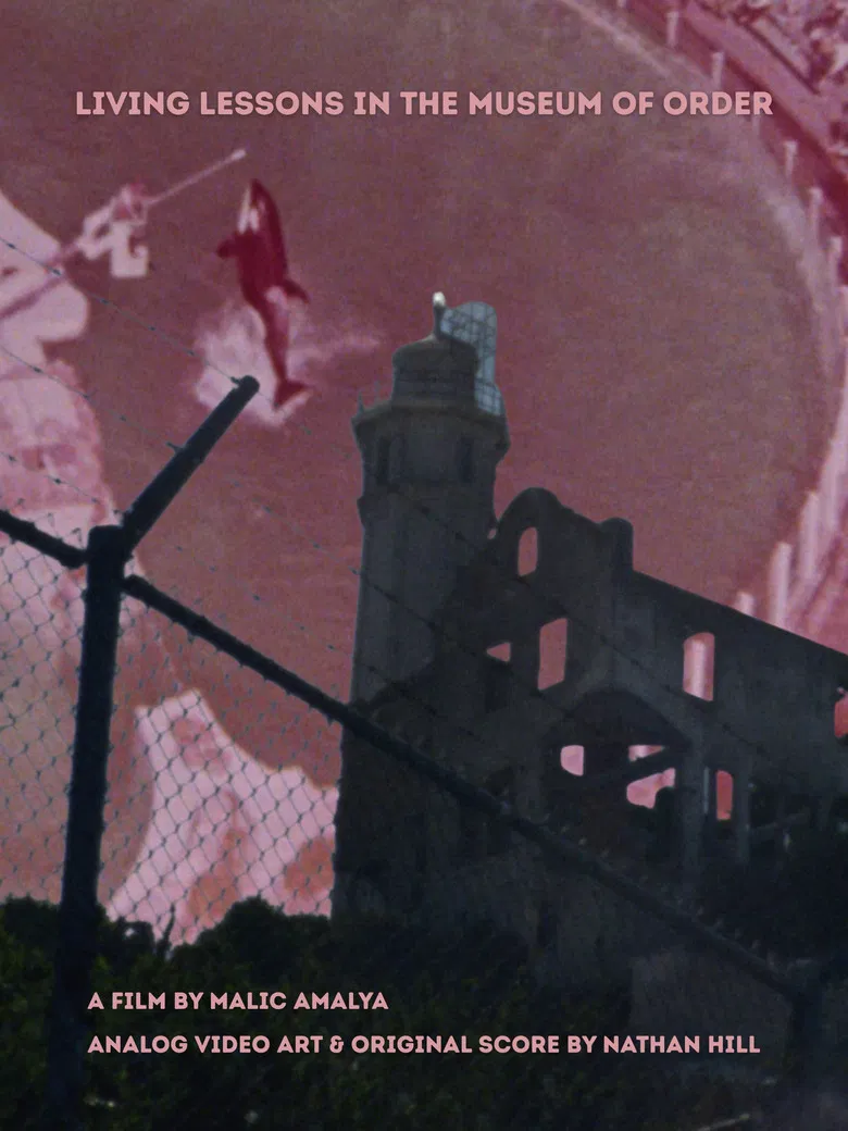 Living Lessons in the Museum of Order poster background