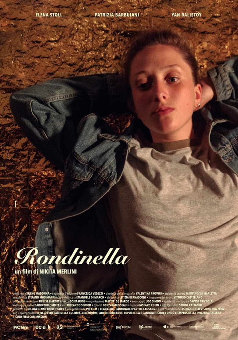 Little Swallow poster background