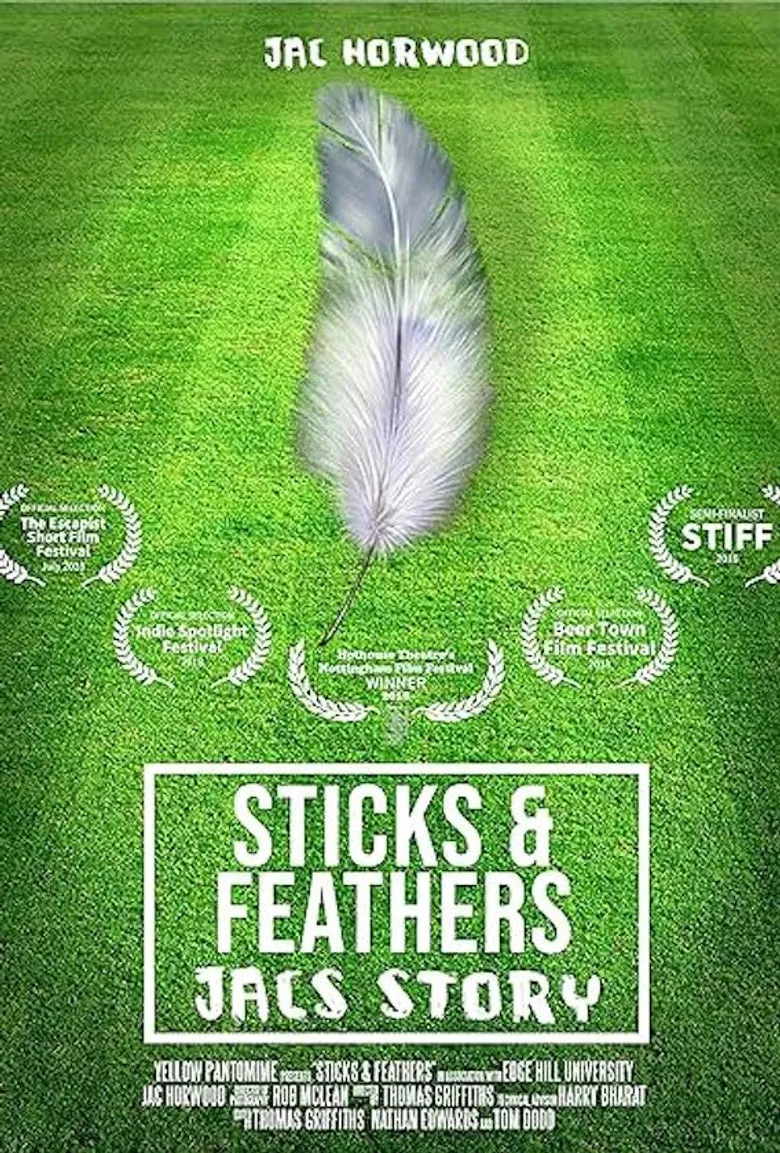 Sticks and Feathers poster background