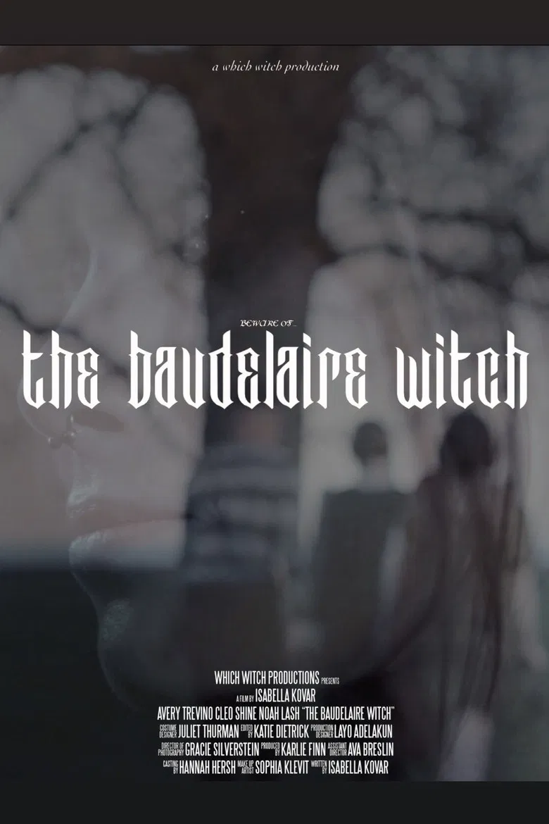The Baudelaire Witch poster background