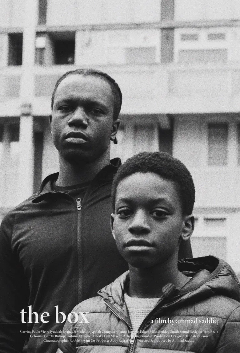 The Box poster background