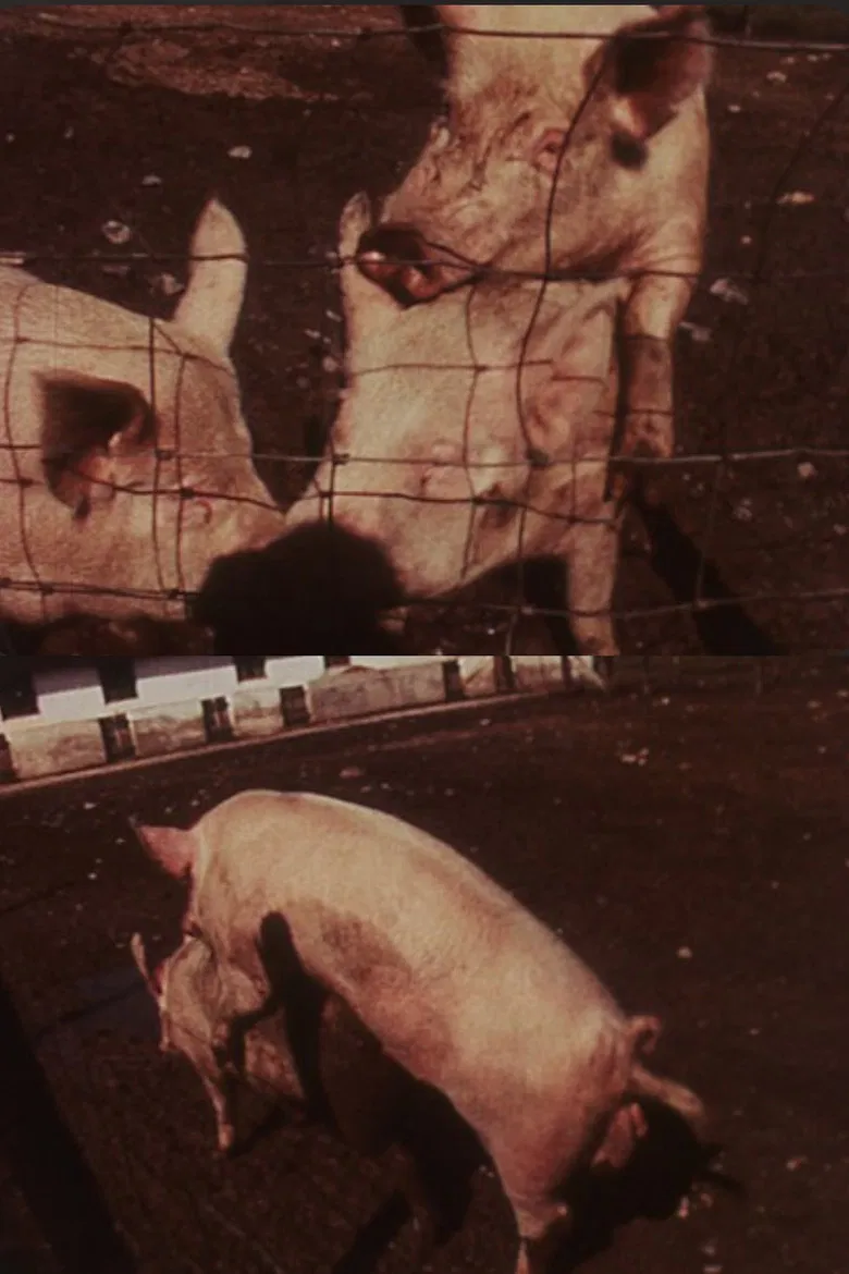 Slop Print poster background