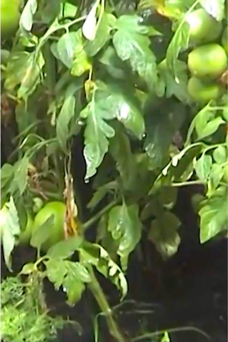 Rain poster background