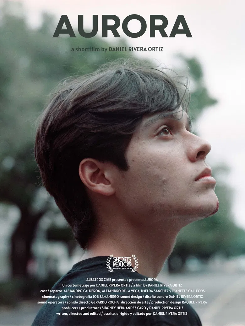 Aurora poster background