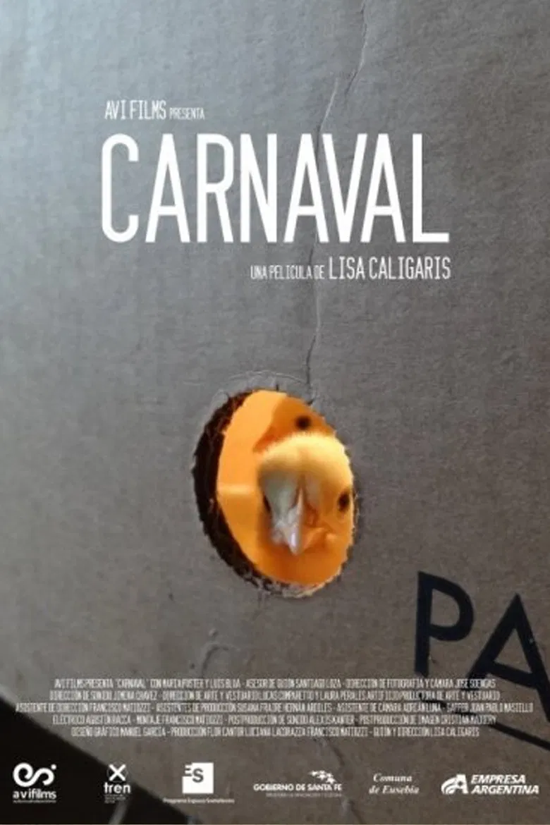 Carnaval poster background