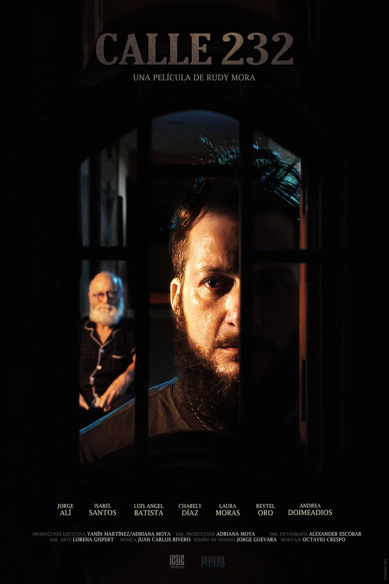 Calle 232 poster background