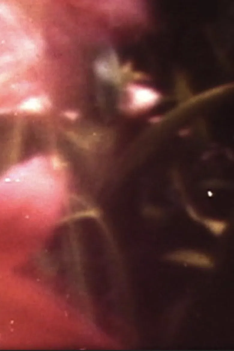 My Life as a Bee poster background