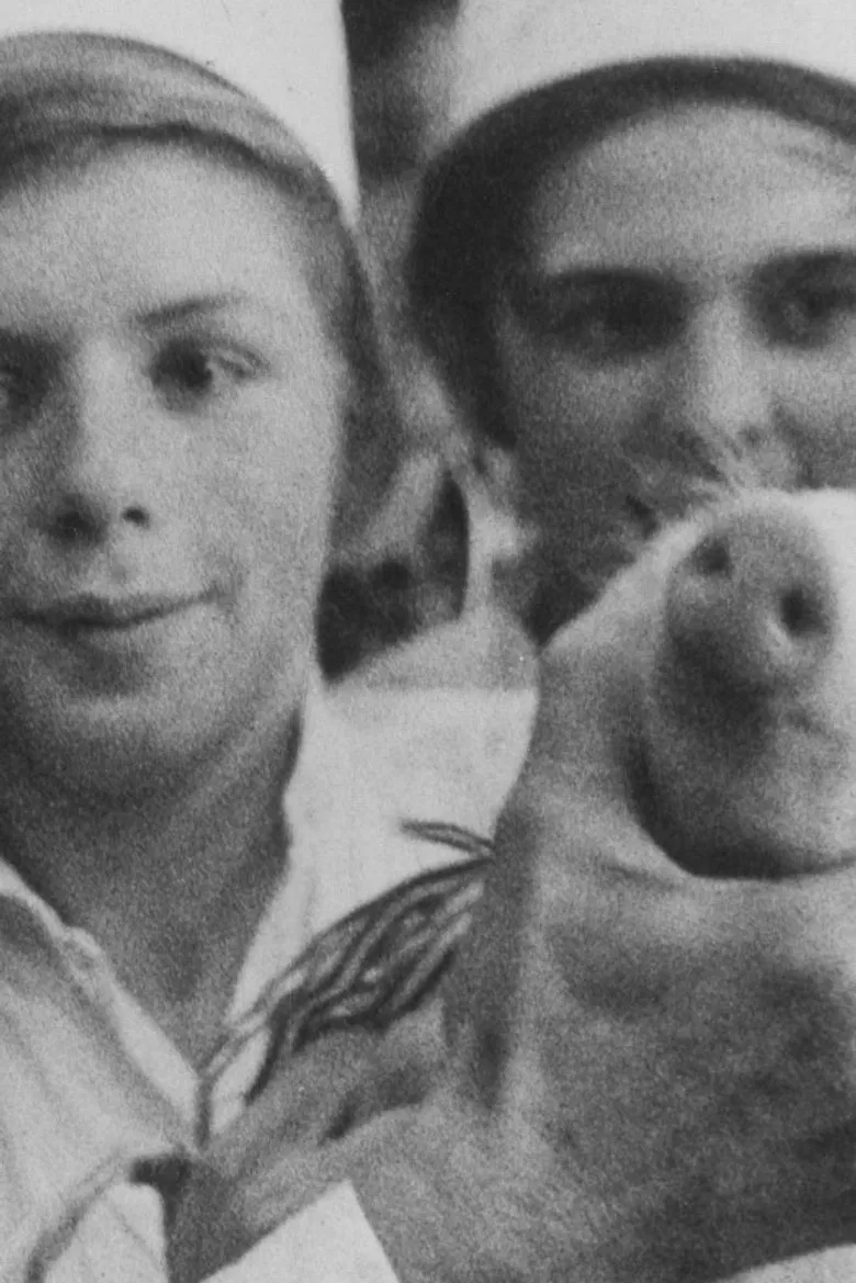 Szilveszter poster background