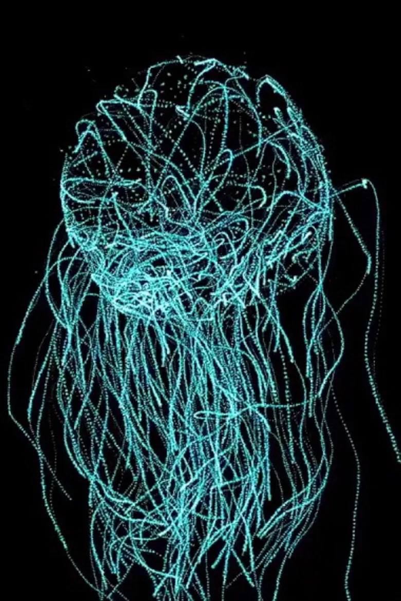 Queering Di Teknolojik poster background