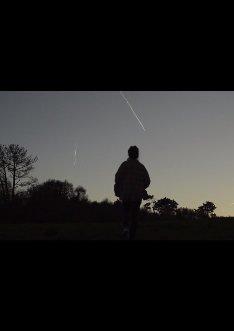 Cuando miro por la ventana veo el bosque poster background